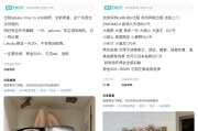 占卜道具闲鱼：LABUBU搜索量环比上涨1000%，供不应求下现租赁新形式