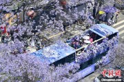 占卜道具2024年云南重点高原湖泊水质稳定 抚仙湖达Ⅰ类